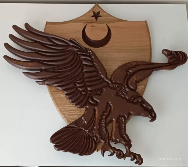 AYYILDIZ ARMA ÜZERİ KARTAL